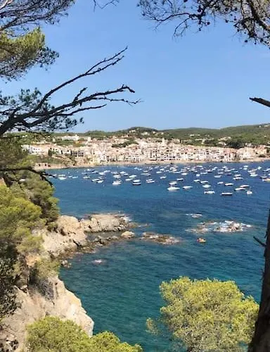 The Golden Oak In Calella Centre - 100m From Appartamento